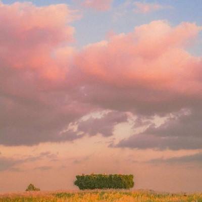 bb平台体育app官网截图